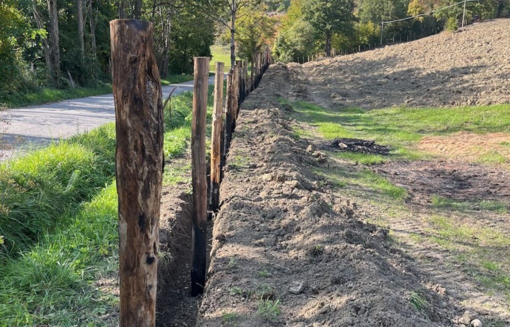 2025-timeline-autosufficienza-17