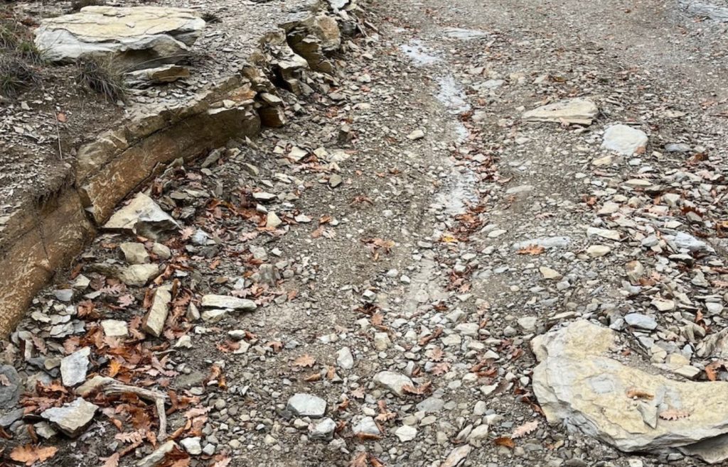 2025-timeline-autosufficienza-20