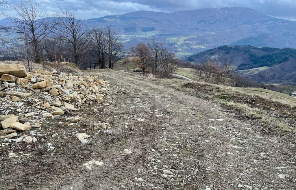 2025-timeline-autosufficienza-23