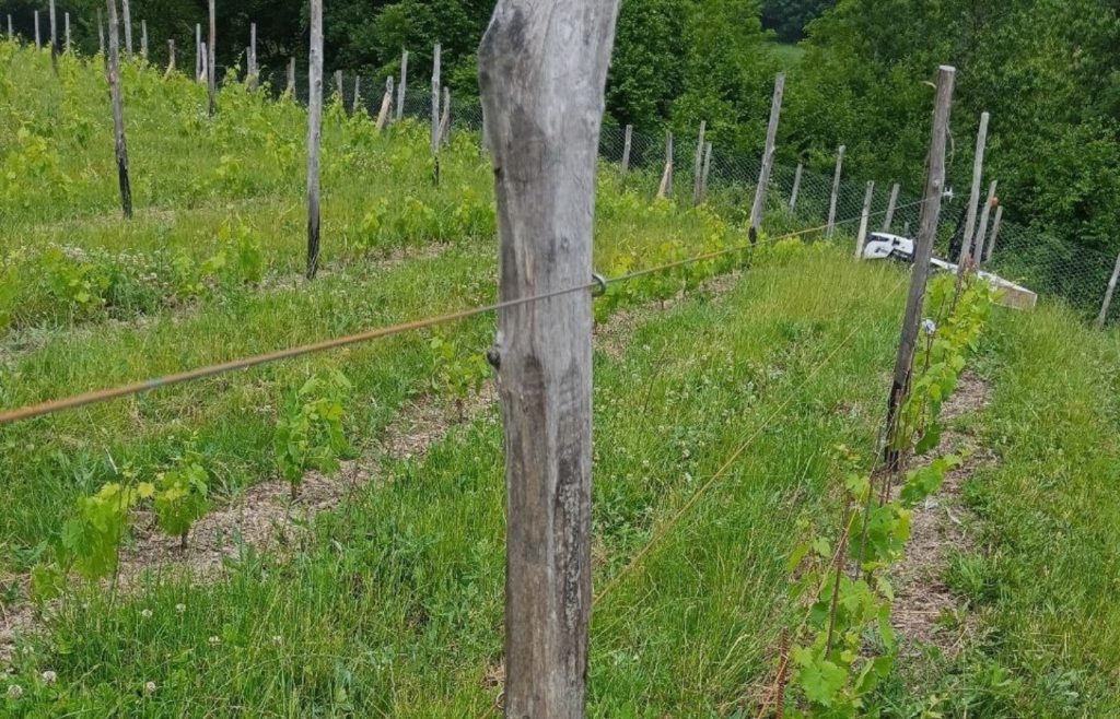 2025-timeline-autosufficienza-5