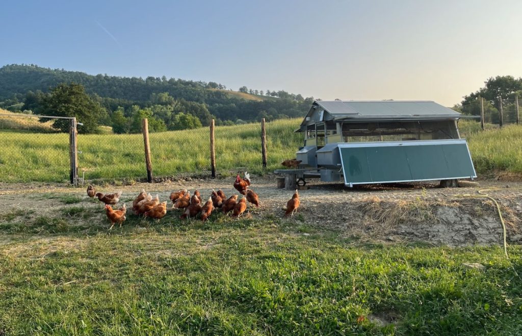 2025-timeline-autosufficienza-7