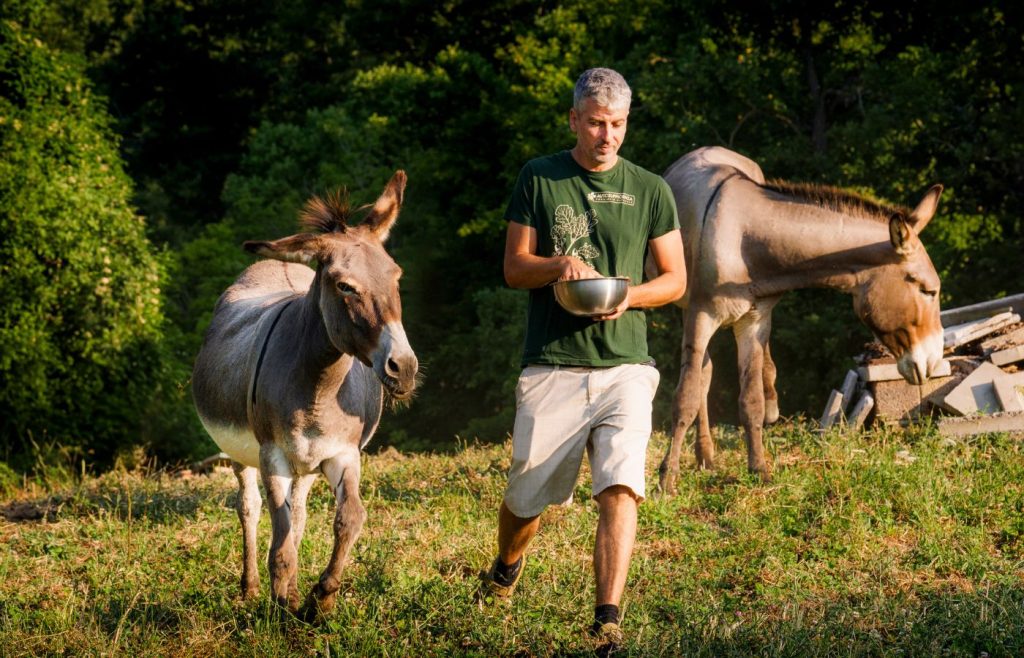 animali-sostenibilita-autosufficienza-1