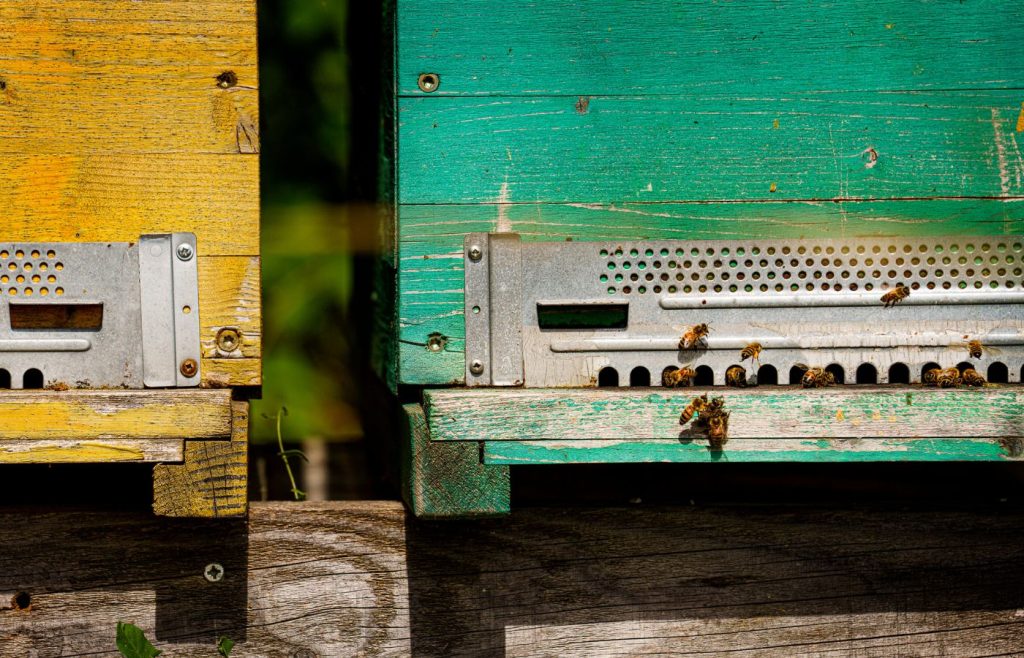 biodiversita-sostenibilita-autosufficienza-5