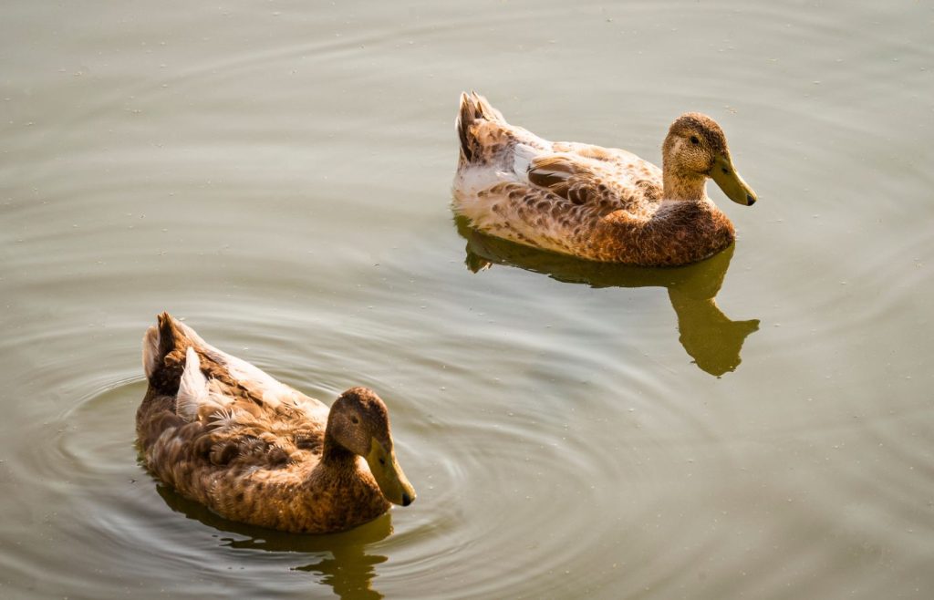 riciclo-sostenibilita-autosufficienza-2