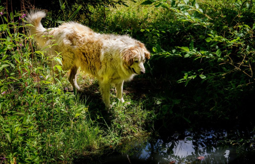riciclo-sostenibilita-autosufficienza-4