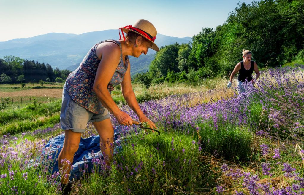 riciclo-sostenibilita-autosufficienza-5