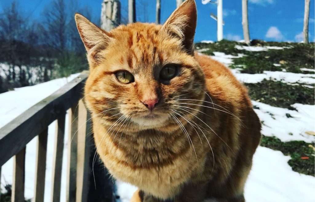 riciclo-sostenibilita-autosufficienza-6