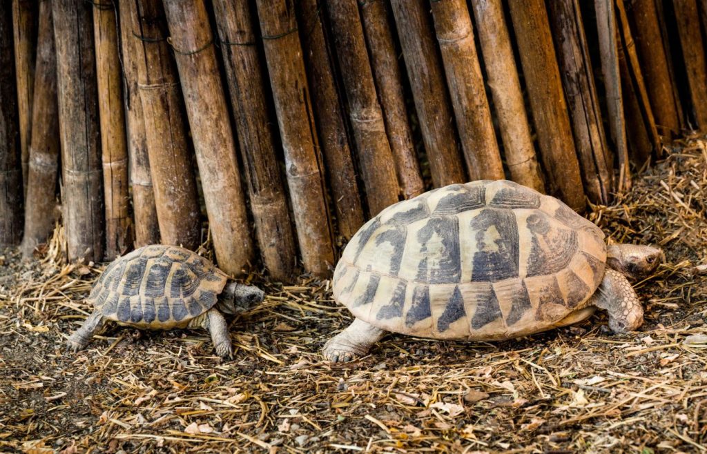 riciclo-sostenibilita-autosufficienza-7