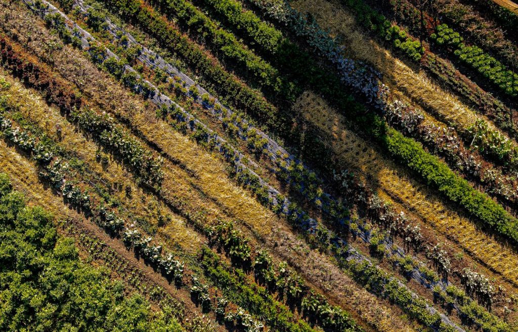 terra-sostenibilita-autosufficienza-1