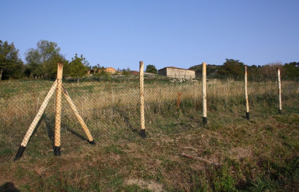 timeline-2011-autosufficienza-2