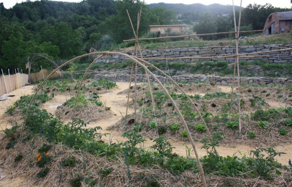 timeline-2012-autosufficienza-5