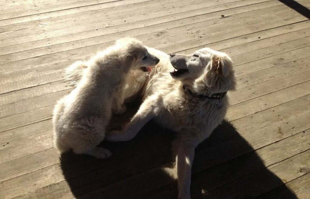 timeline-2013-autosufficienza-3