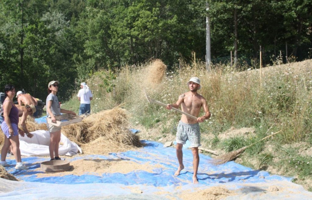 timeline-2013-autosufficienza-5