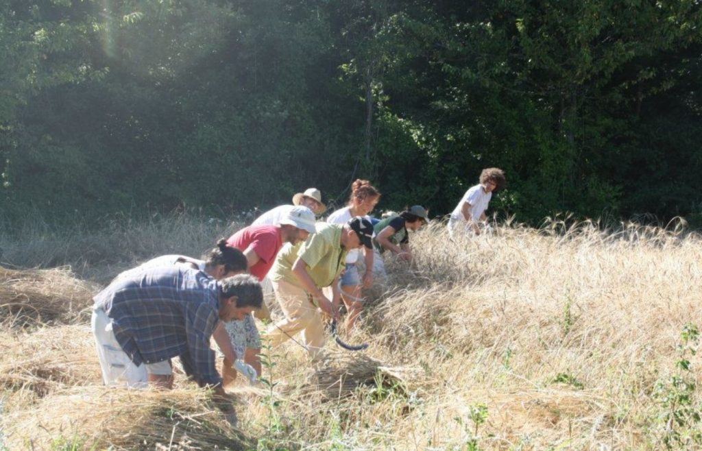 timeline-2013-autosufficienza-6