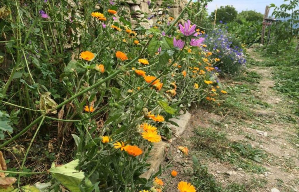 timeline-2014-autosufficienza-1