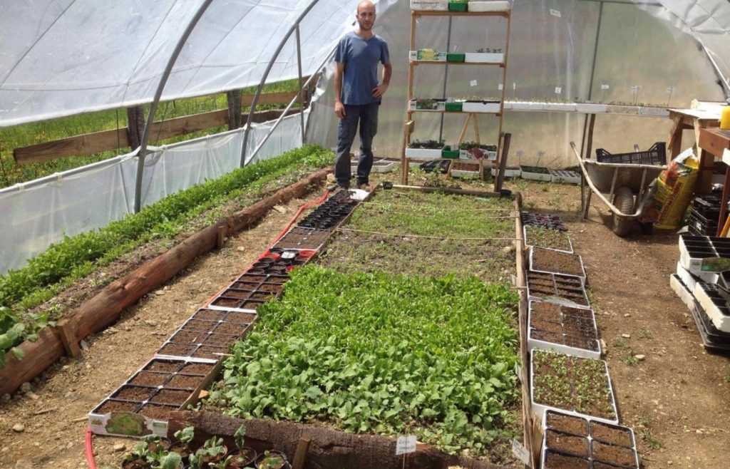 timeline-2014-autosufficienza