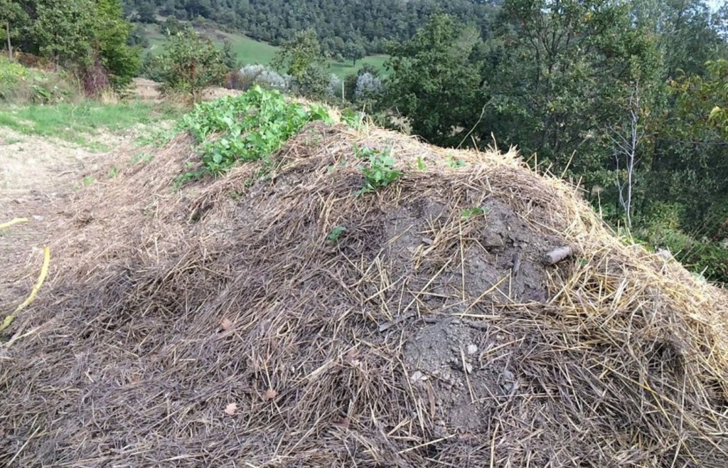 timeline-2014-autosufficienza-4