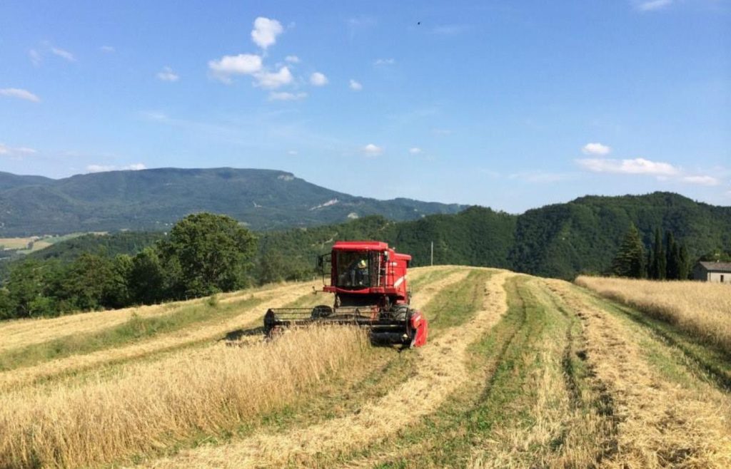 timeline-2014-autosufficienza-6