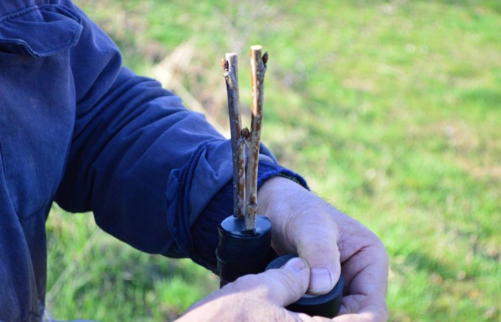 timeline-2014-autosufficienza-7