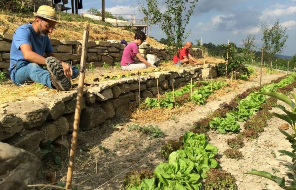 timeline-2015-autosufficienza