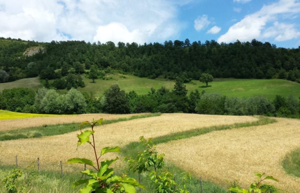 timeline-2015-autosufficienza-3