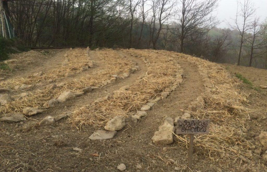 timeline-2016-autosufficienza-7