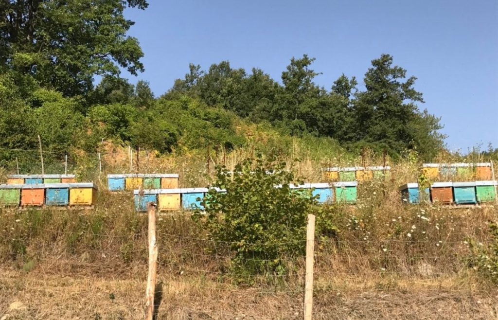 timeline-2017-autosufficienza-1