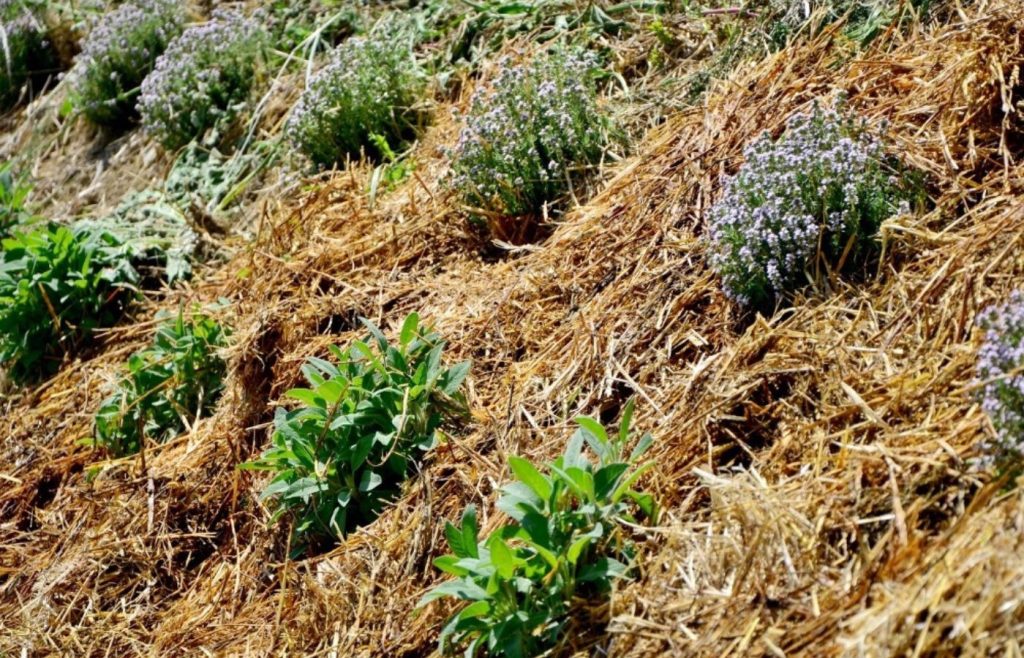 timeline-2017-autosufficienza-12