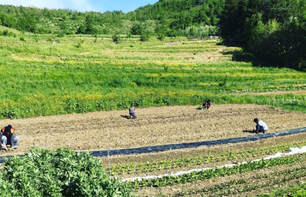 timeline-2018-autosufficienza-11