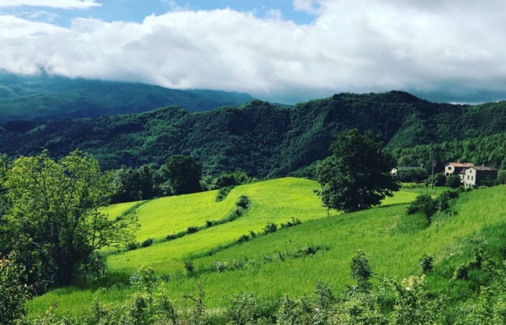 timeline-2018-autosufficienza-13