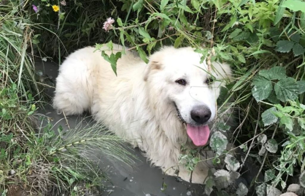 timeline-2018-autosufficienza-6