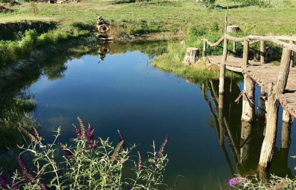 timeline-2019-autosufficienza-17