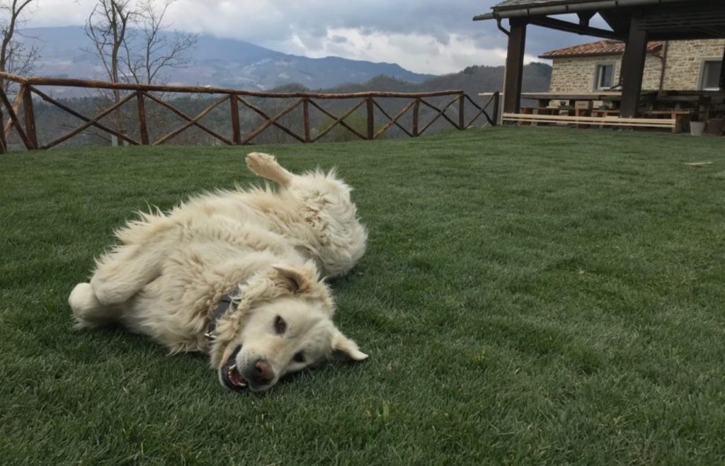 timeline-2019-autosufficienza-27