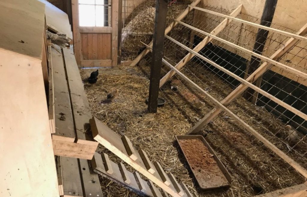 timeline-2019-autosufficienza-33