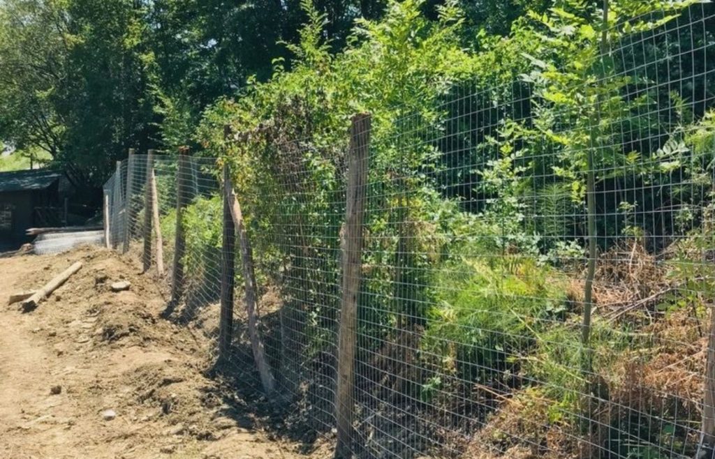 timeline-2019-autosufficienza-34