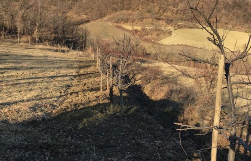 timeline-2019-autosufficienza-42