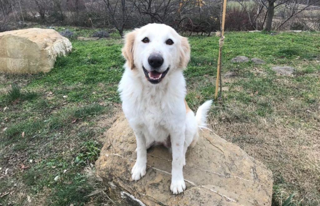 timeline-2019-autosufficienza-5