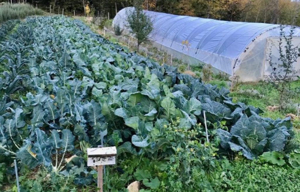 timeline-2019-autosufficienza-7