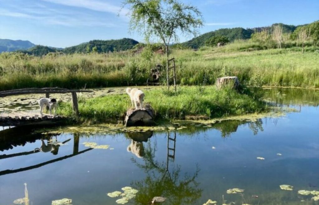 timeline-2020-autosufficienza-15