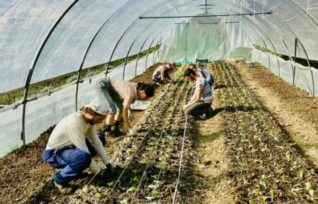 timeline-2020-autosufficienza-2