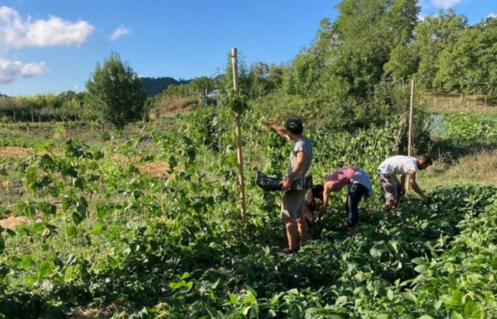 timeline-2020-autosufficienza-21