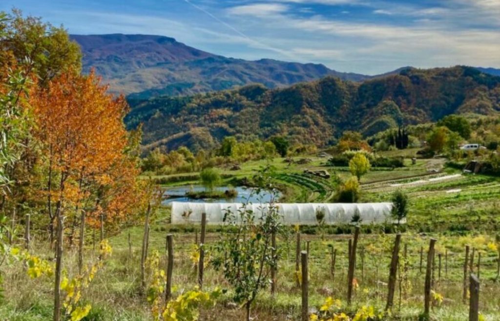 timeline-2020-autosufficienza-26