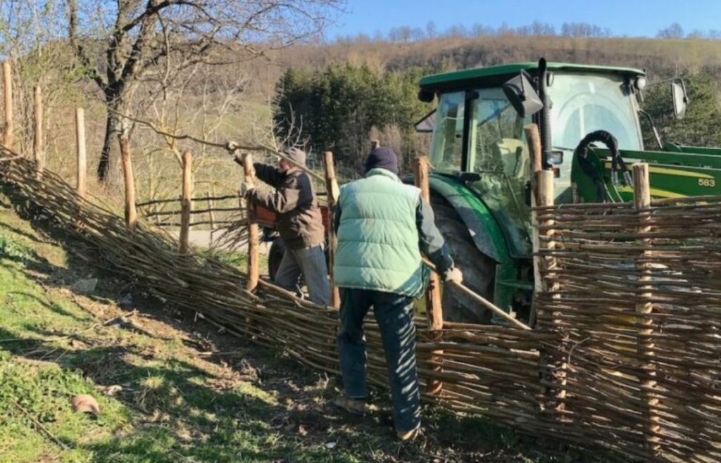 timeline-2020-autosufficienza-5