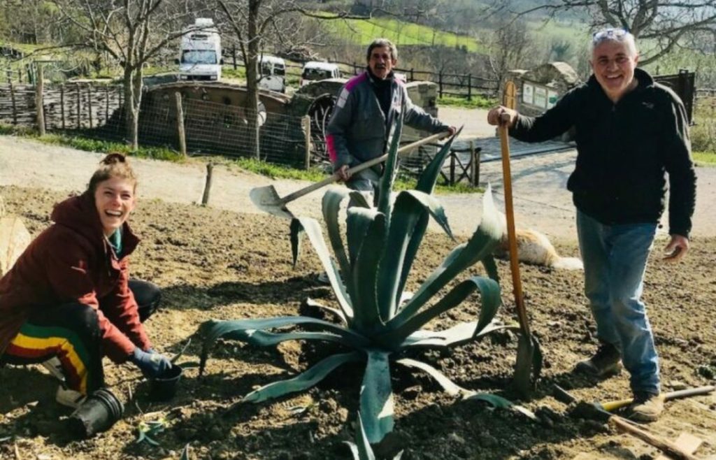 timeline-2020-autosufficienza-7