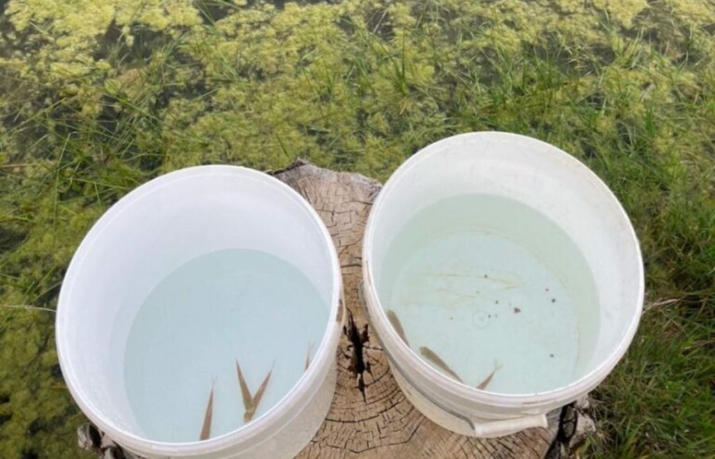 timeline-2020-autosufficienza-8