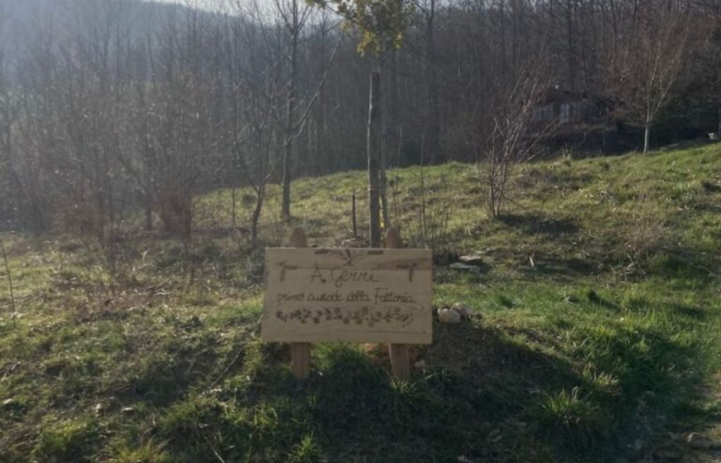 timeline-2021-autosufficienza-19