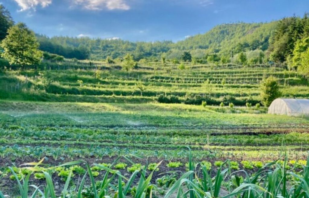 timeline-2021-autosufficienza-26