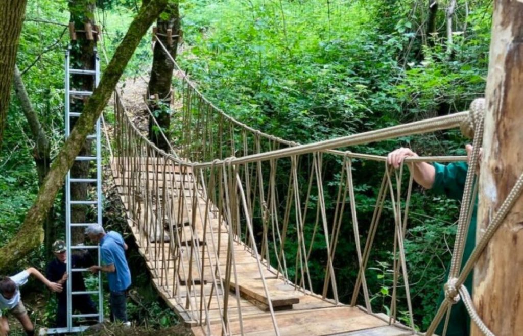 timeline-2021-autosufficienza-31