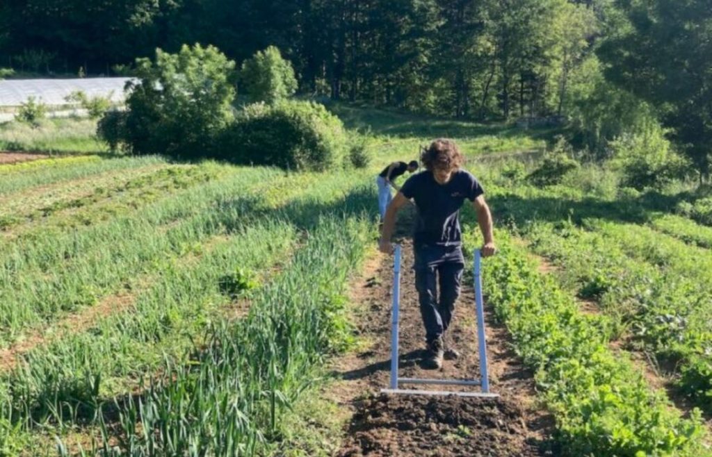 timeline-2022-autosufficienza-14