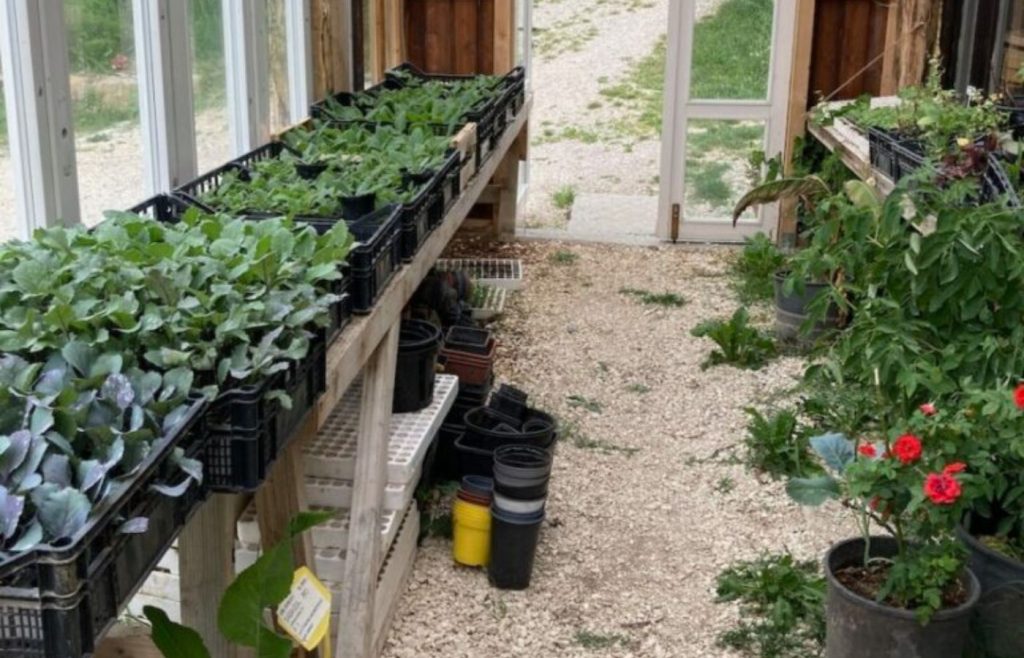 timeline-2022-autosufficienza-16